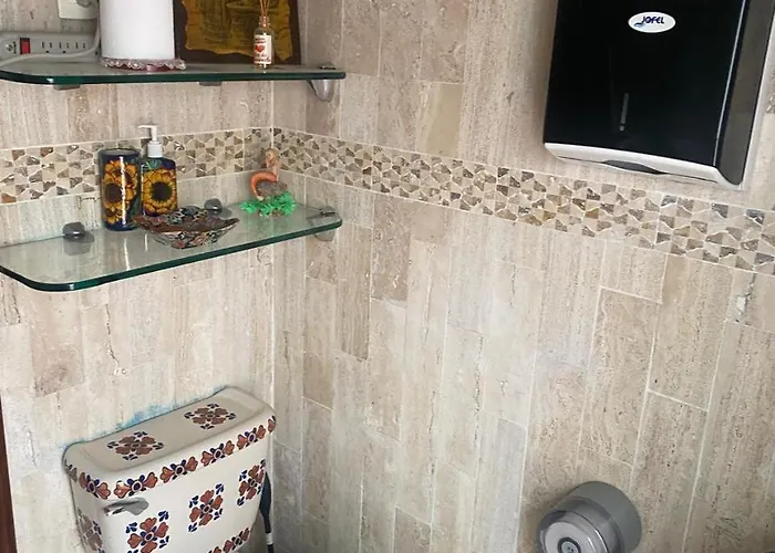 Homestay Tranquilo Y Acogedor En Coyoacan Mexico City